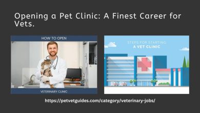 Opening a Pet Clinic