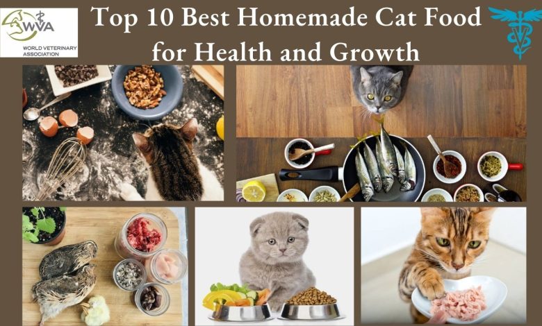 Cat Food