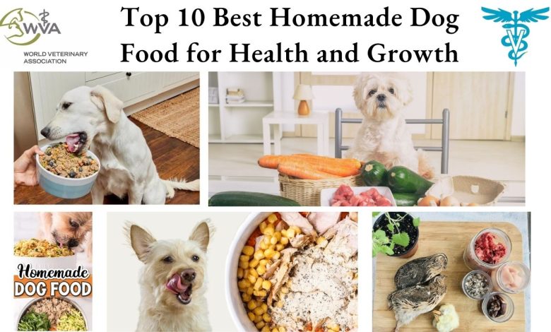 Dog Food