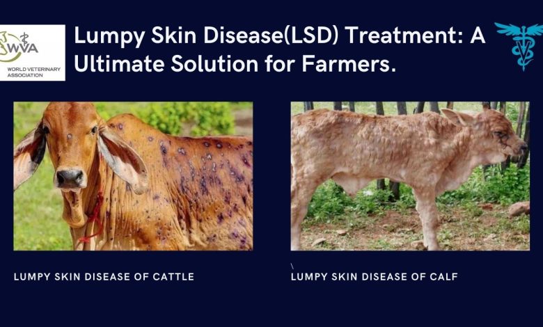Lumpy Skin Disease Treatment