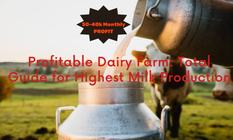 Dairy Farm
